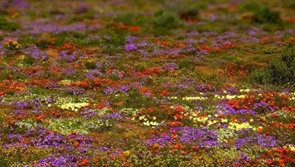 南非秘宝,遗落在世间的宝藏