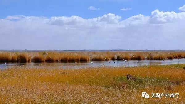 一大一小两个情侣湖，国庆来西域敦煌必经之路，一起秀恩爱吧！