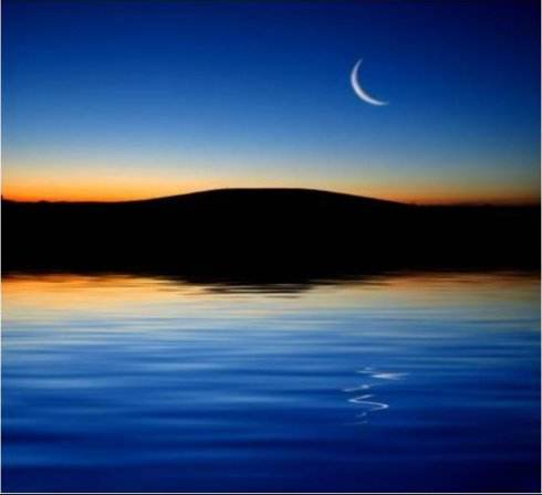 我给了你四季的风景，你还在意春花秋月吗？