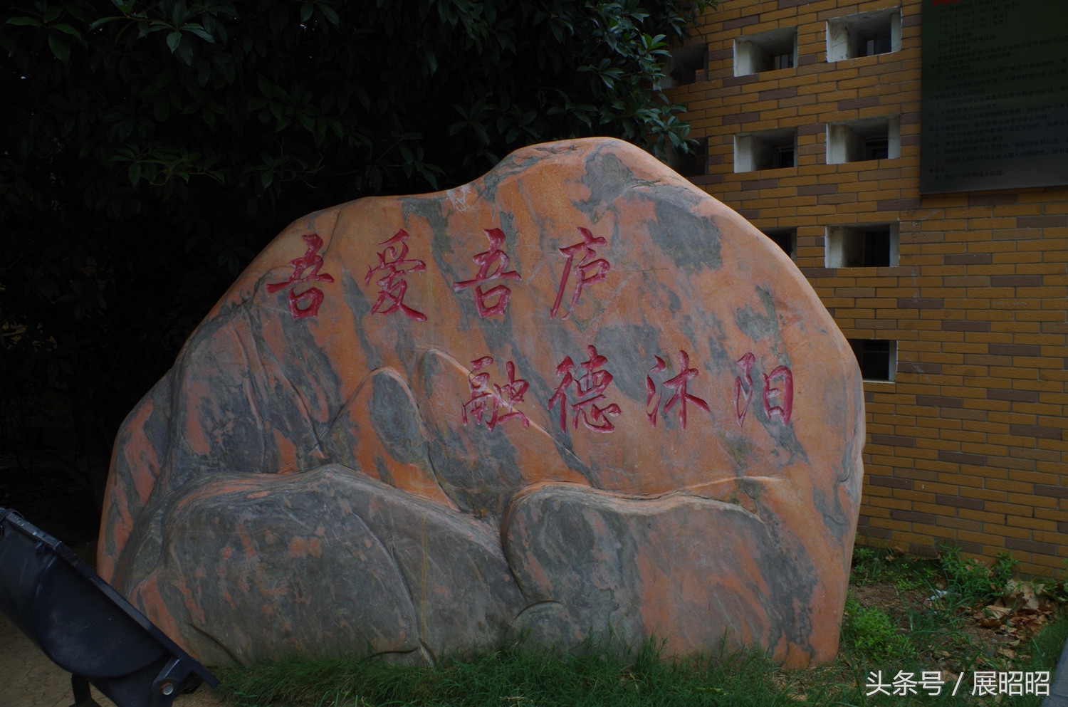 不是本学区的怎样上庐阳中学,合肥市庐阳区哪里的初中最好