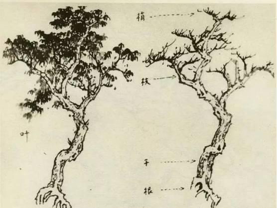 山水画画树的教学视频,山水画基础画树技法合集