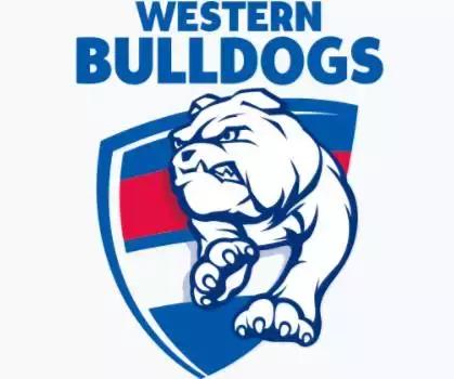 英国斗牛犬有多厉害,英国斗牛犬为什么凶猛