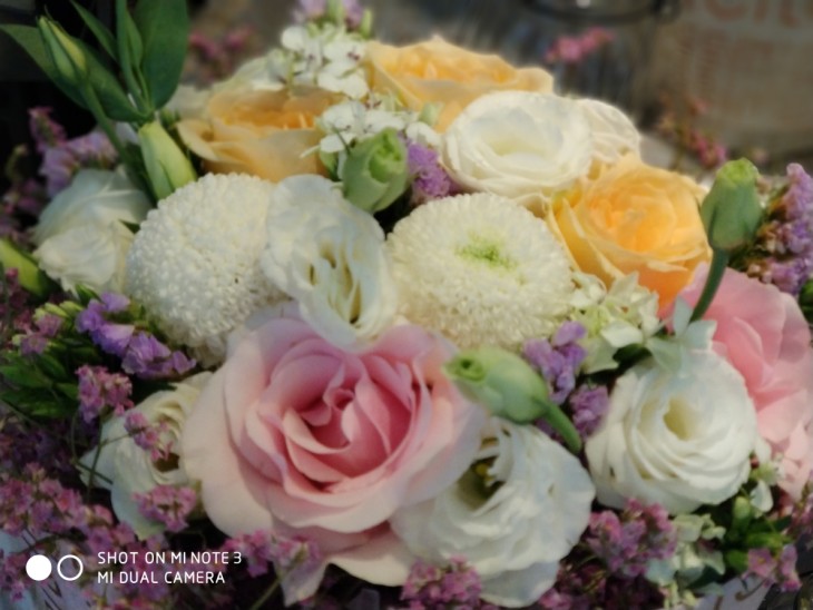 小米note3拍照有多强,小米note3拍照效果怎样