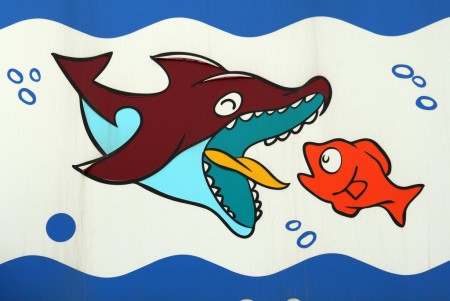 怀孕能不能吃鱼孕早期吃啥好,孕妇吃鱼十大好处