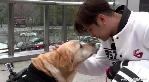 罗志祥小手牵小狗,小手牵小狗2018罗志祥