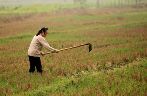老婆嫌弃我妈唠叨怎么办,老婆总嫌我妈笨怎么办
