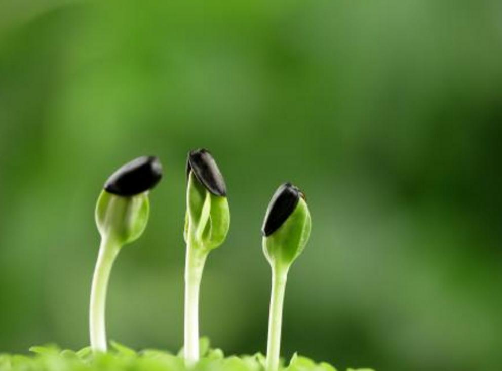 被人欺负该如何正确应对,对付被人欺负最好的方法