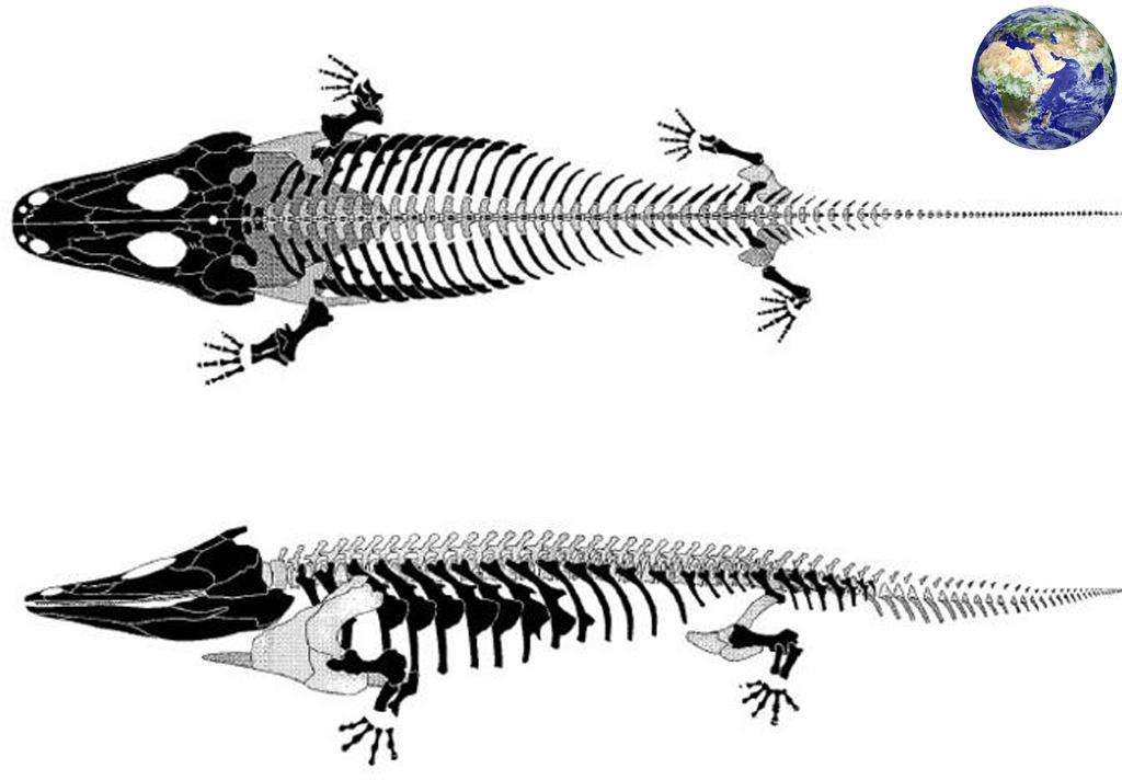 盘点各种各样的形形色色的青蛙,各种各样的青蛙