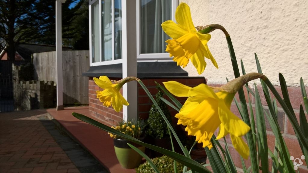 lumia650还可以用吗,微软lumia950详细评测