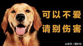 流浪狗收容所狗肉馆,狗肉馆旁边是流浪狗收容所