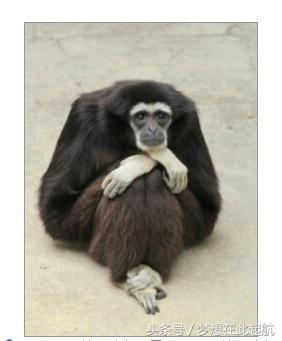 老师，为什么打扰我装逼