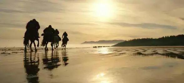 猩球崛起得了什么奖项,猩球崛起靠谱吗