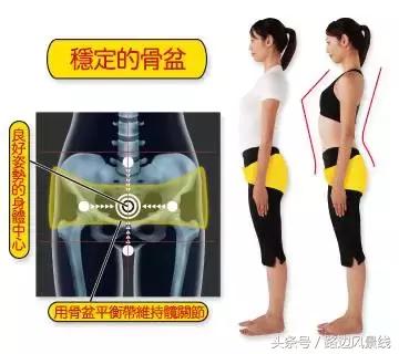 骨架平衡整脊术价目表,骨架平衡手法