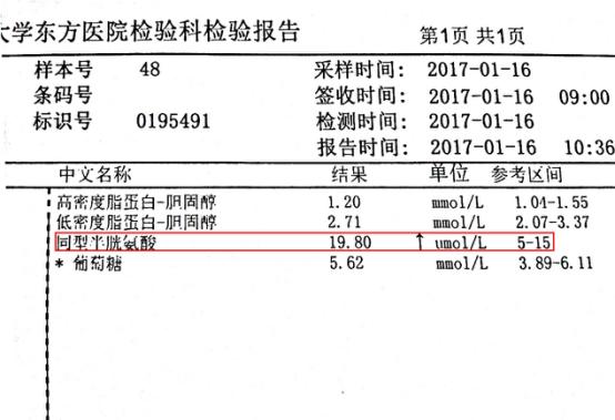 高同型半胱氨酸血症风险低正常吗,最容易被忽视的健康危险因素