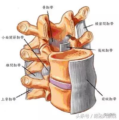 骨架平衡整脊术价目表,骨架平衡手法
