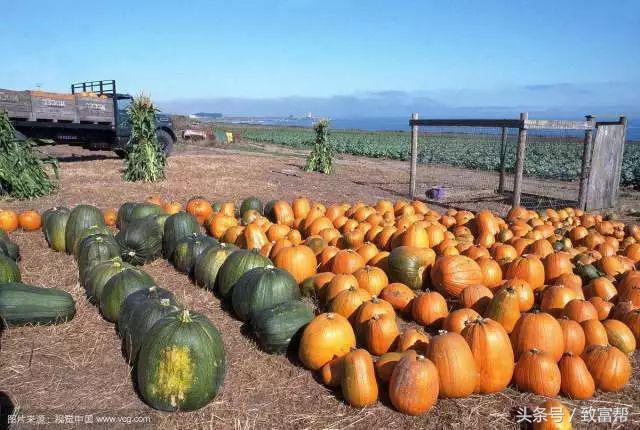 大学生在学校有什么好的创业,大学创业原来这么简单