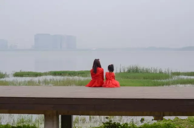 美丽的郑州北龙湖湿地公园,郑州北龙湖湿地公园初冬游记