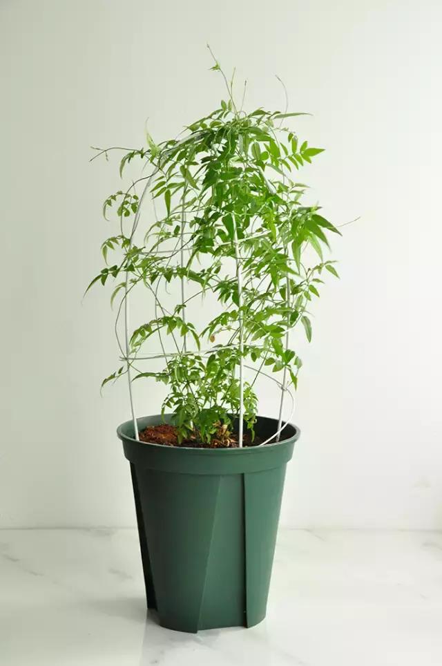 怎么制作竹子的简易花架,简易花架木头制作方法