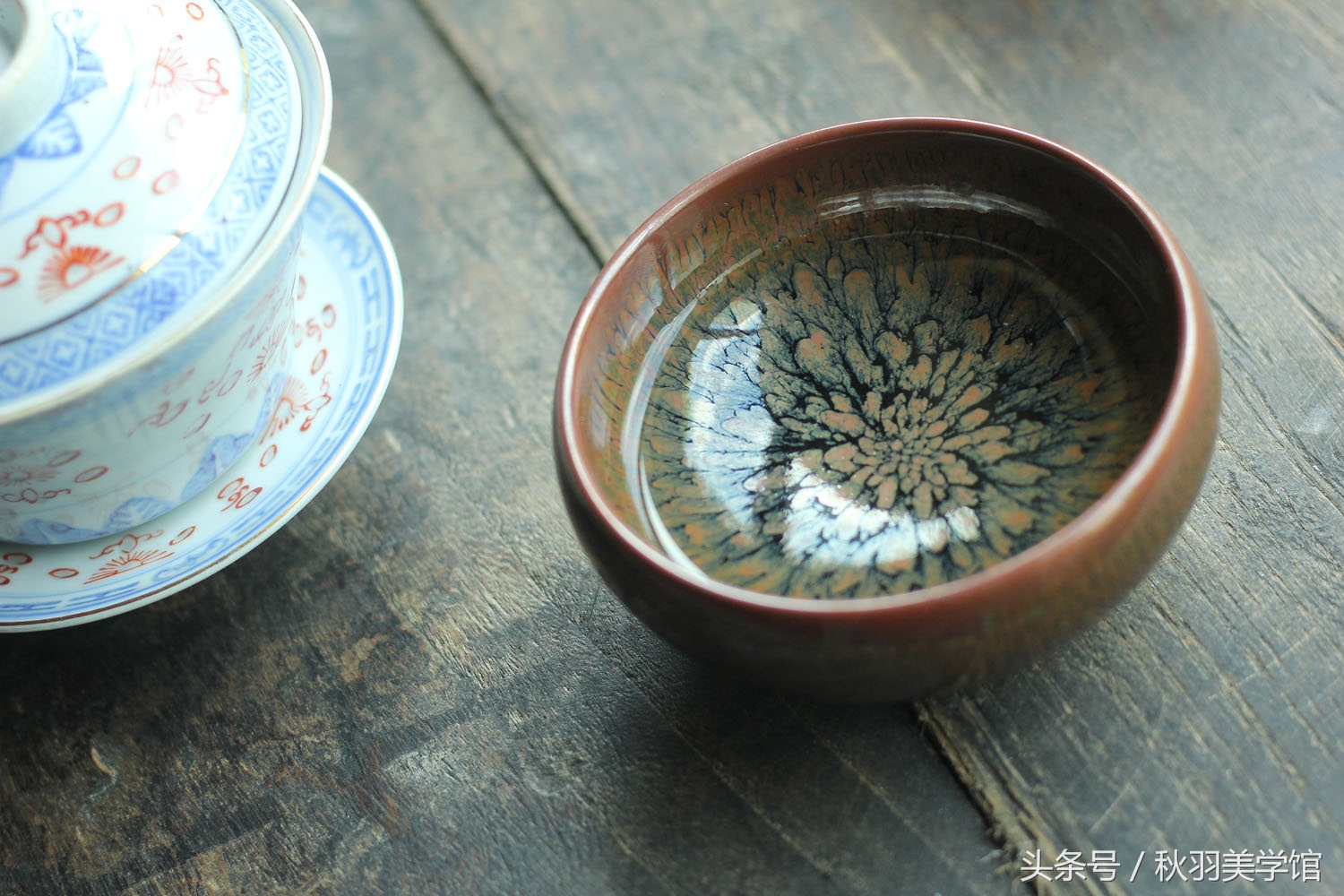 生活中的有些美需要你用心去发现,偶然拾得人间绝色