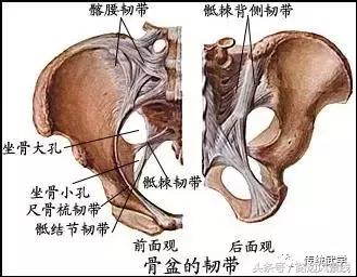 骨架平衡整脊术价目表,骨架平衡手法
