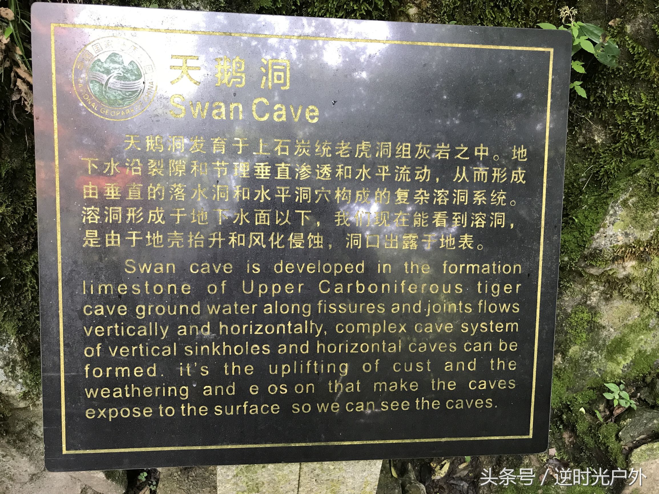 宁化天鹅洞属于哪个市,宁化天鹅洞穴