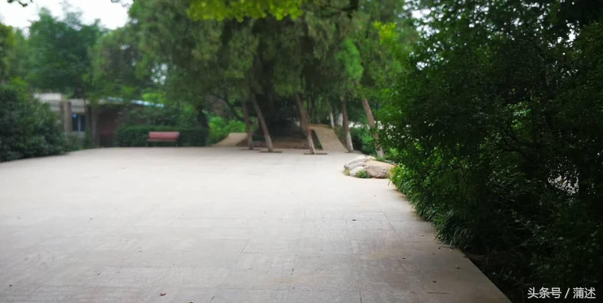 河南·郑州｜道不尽的舞林江湖，话不完的尬舞人生