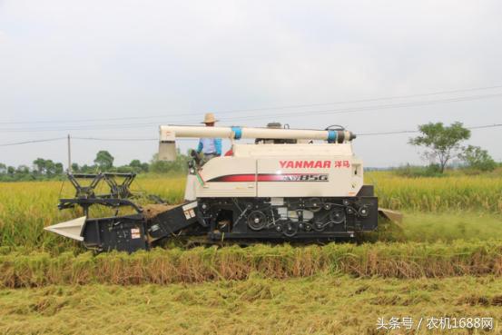 洋马收割机操作全过程,洋马收割机第一视角