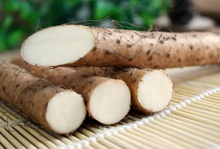 一根神奇的铁棍山药,每天吃一根铁棍山药好不好