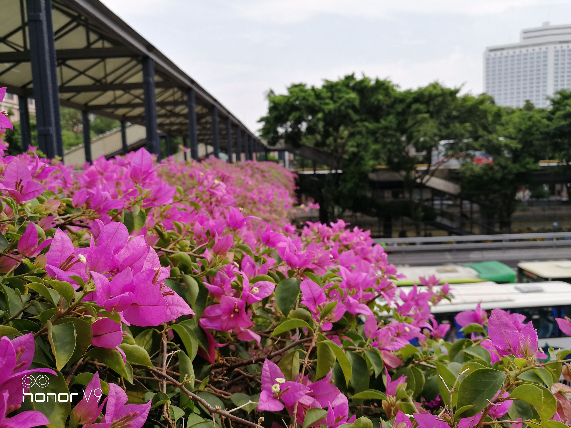 荣耀v9性能详细说明,荣耀v9深度讲解