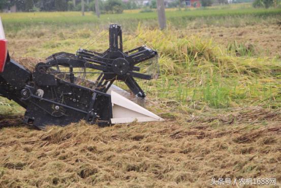 洋马收割机操作全过程,洋马收割机第一视角