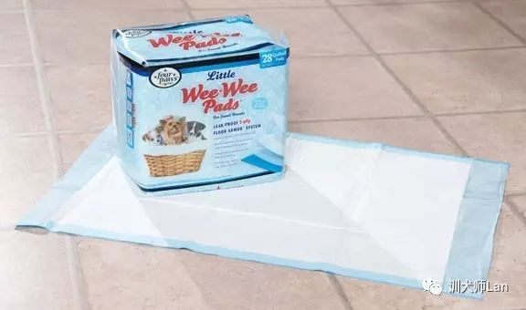 狗狗绝育手术后要注意什么,狗狗绝育后怎么护理