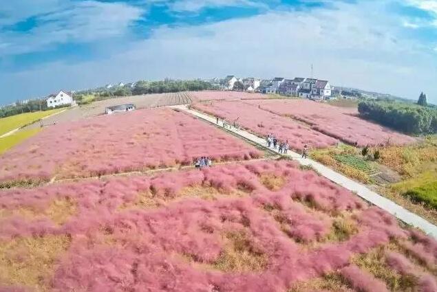 合肥瓜牛公园丛林探险,合肥瓜牛公园到底好不好玩