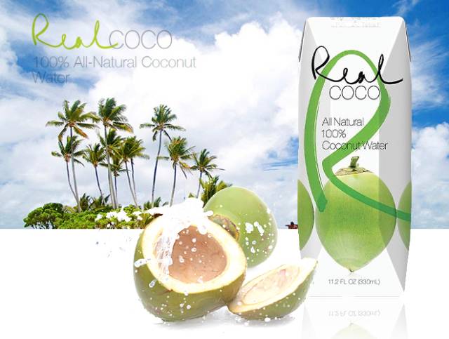 熊坐姿势,熊姿势