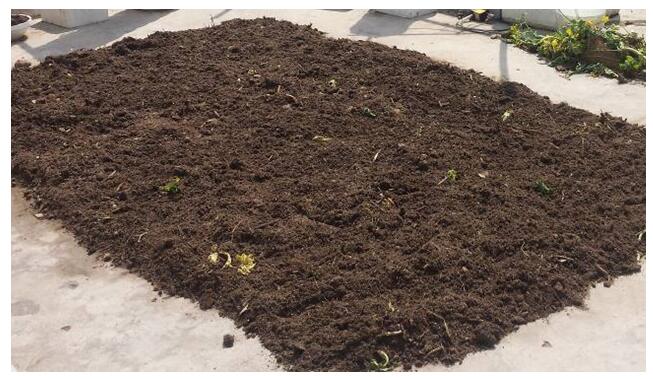 菜土基质消毒小方法