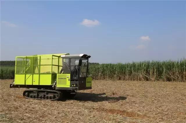 黄金搭档甜蜜相约—中联重科AS60甘蔗机+转运车开启蔗收新模式