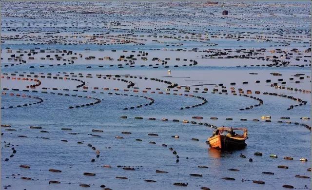 爸爸去哪拍摄地广东,爸爸去哪儿黄河拍摄地