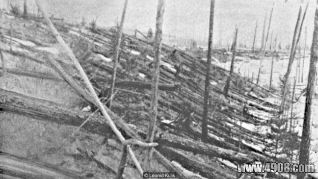 通古斯大爆炸之谜,通古斯大爆炸之谜枫叶