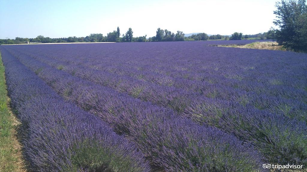 缤纷绚丽的视频,色彩斑斓的世界美景