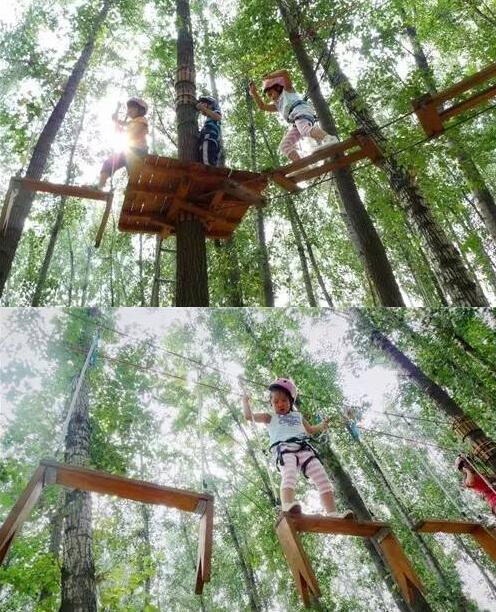 合肥瓜牛公园丛林探险,合肥瓜牛公园到底好不好玩