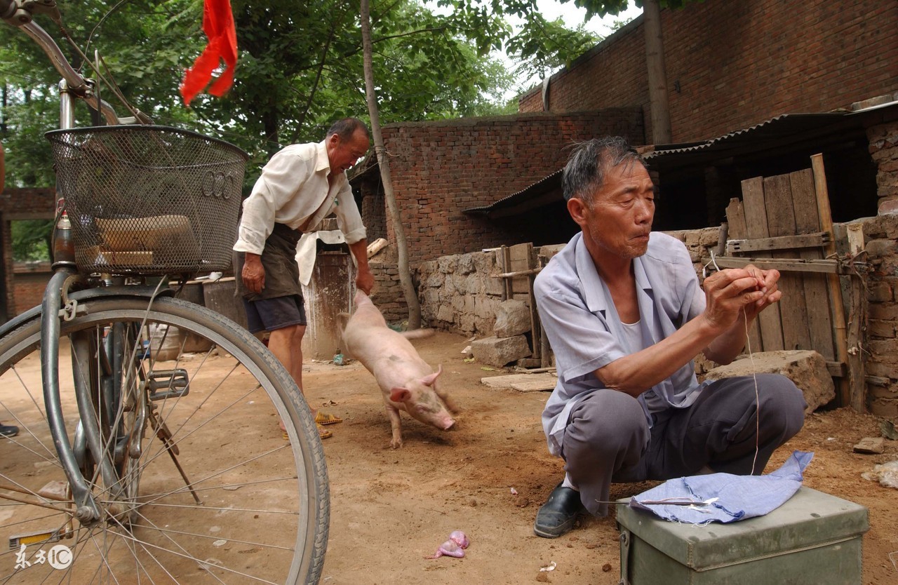 欲练神功必先自宫完整,欲练神功必先自宫集锦