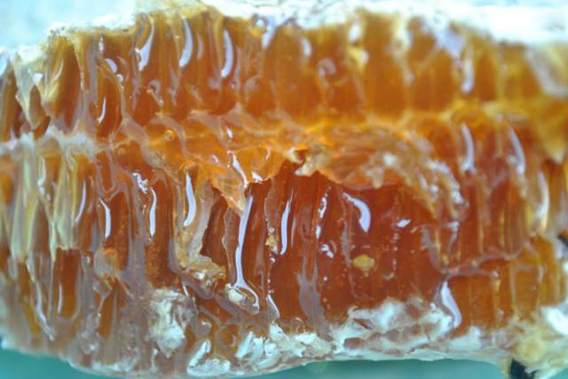 纯蜂蜜和浓缩蜜的区别,浓缩蜜和假蜂蜜哪个好吃