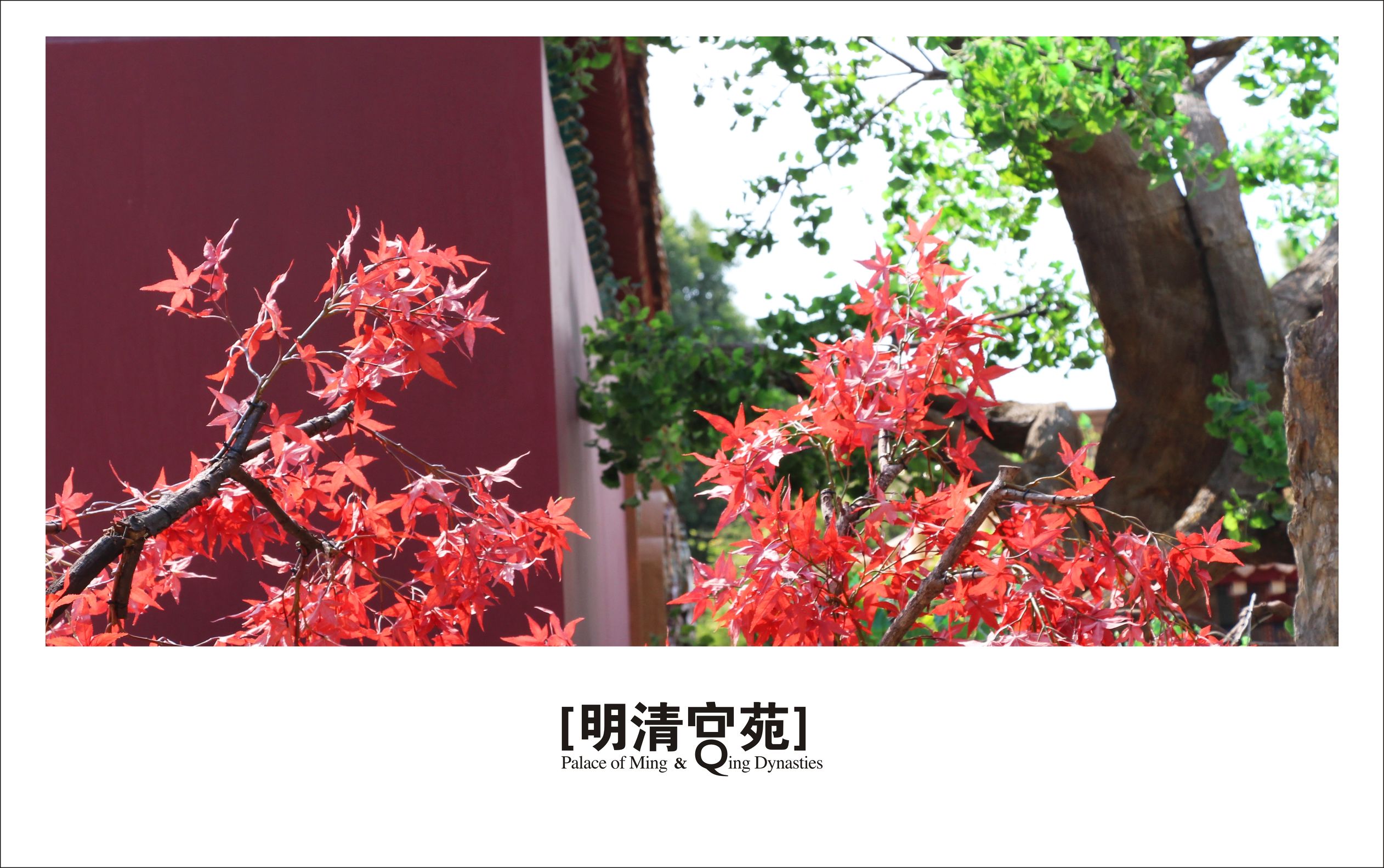 明星里的健身达人,盘点那些颜值超高的健身达人