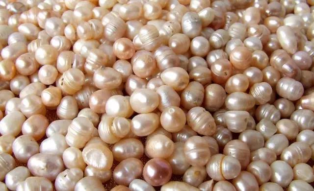 海水珍珠和淡水珍珠怎么分辨真假,真的淡水珍珠与假珍珠区别