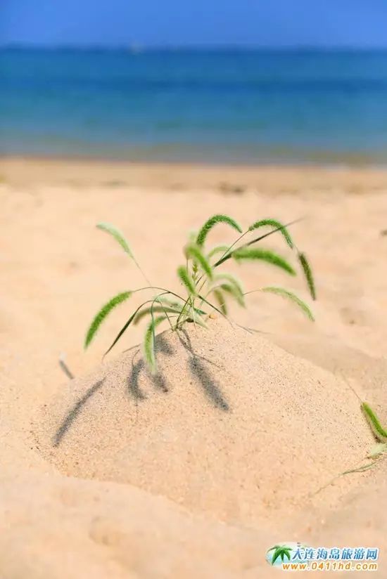 国庆大连去哪个海岛,国庆八天假去哪玩江西