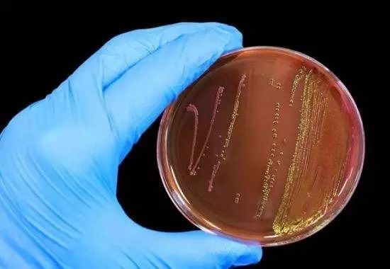 孕妇怀孕25周特别爱吃甜食,孕妇怀孕期间乱吃东西生出孩子