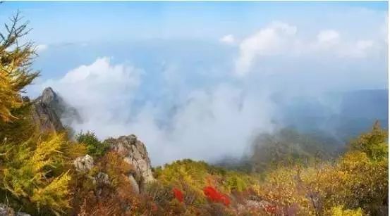 秦皇岛秋景最好的地方 (秦皇岛周边十月赏秋色的地方)