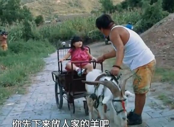 爸爸去哪儿你不知道的事,爸爸去哪儿真心话问答