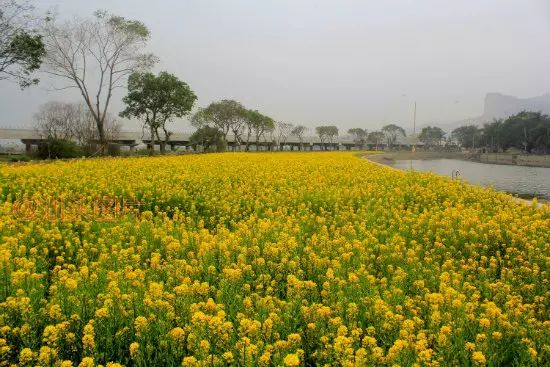 汕头国庆一日游最佳景点,国庆不花钱旅游