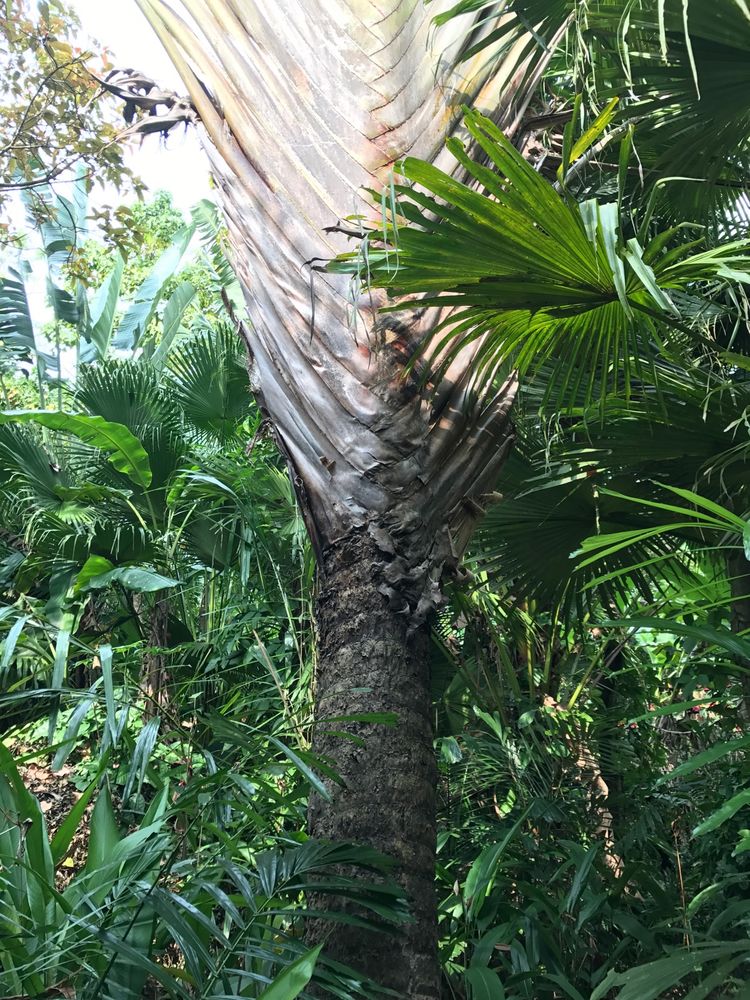 北纬18度的爱意味着什么,北纬18度的爱