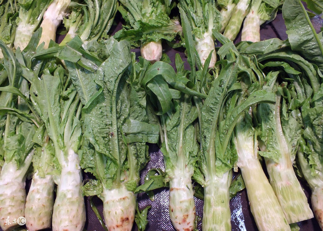 双腿浮肿要吃啥药才好得快呢,双腿酸胀湿气重吃什么药